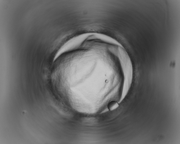 X0000113200161200910081300