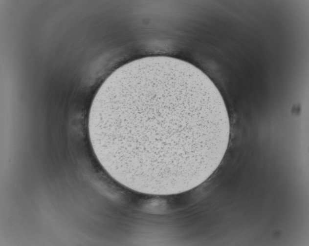 X0000113200162200910081300