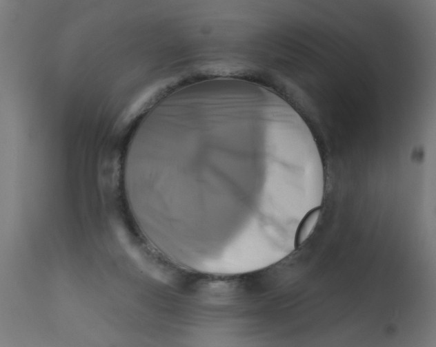 X0000113200163200910081300