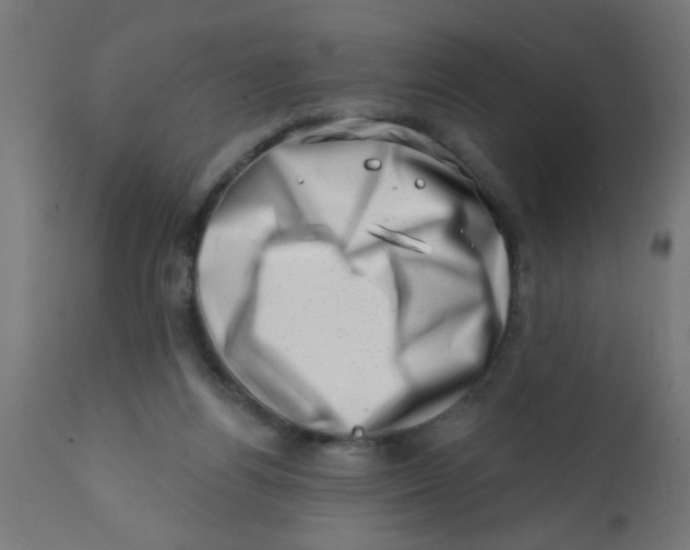 X0000113200164200910081300