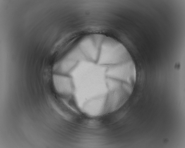 X0000113200165200910081300