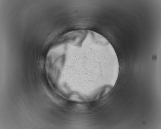 X0000113200166200910081300