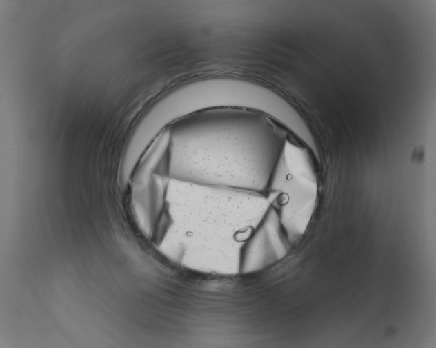 X0000113200168200910081300