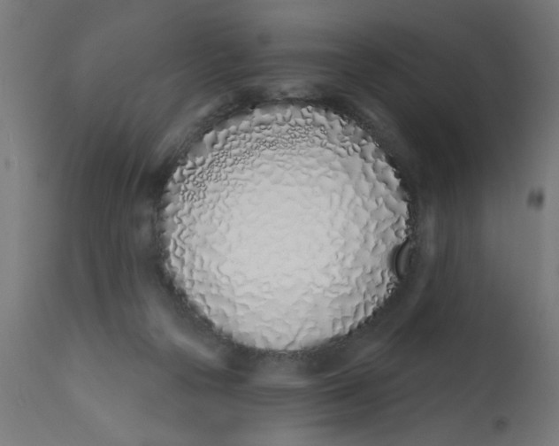 X0000113200169200910081300