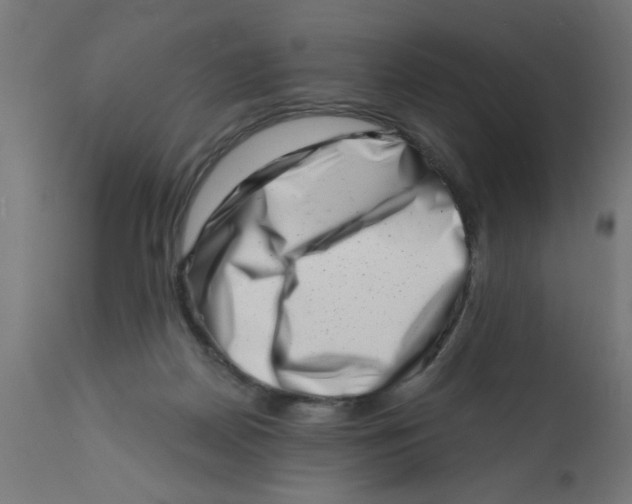X0000113200170200910081300