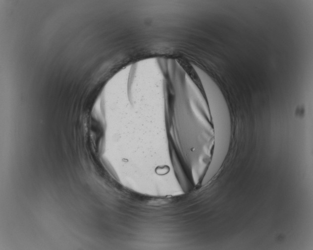 X0000113200172200910081300