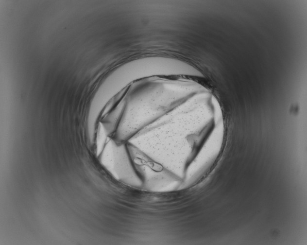 X0000113200174200910081300