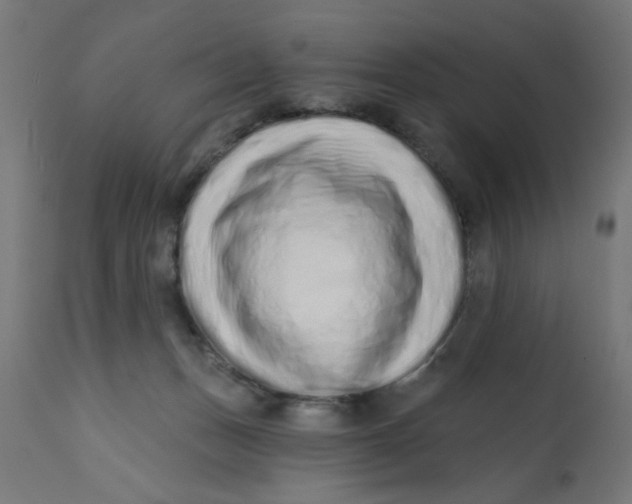 X0000113200175200910081300