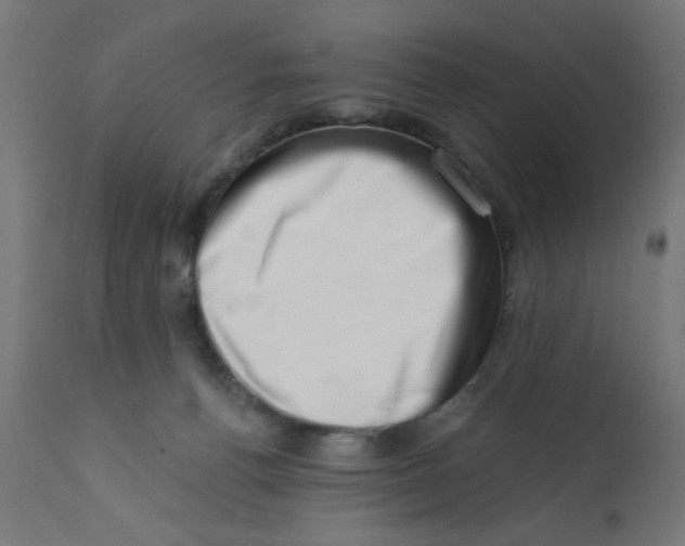 X0000113200176200910081300