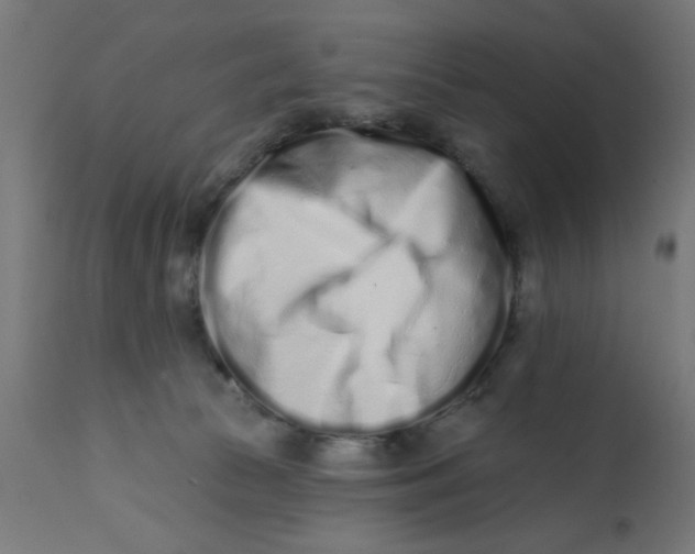 X0000113200177200910081300