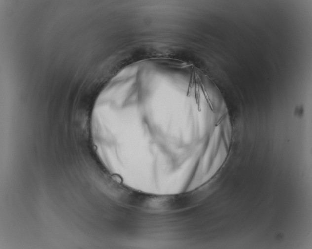 X0000113200178200910081300