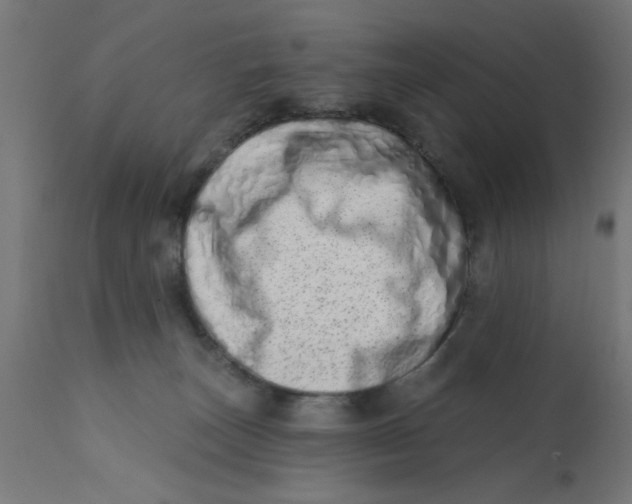 X0000113200179200910081300