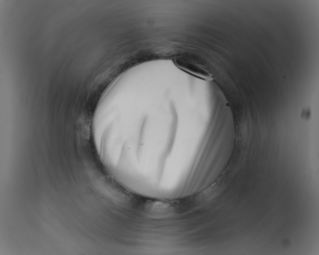 X0000113200180200910081300
