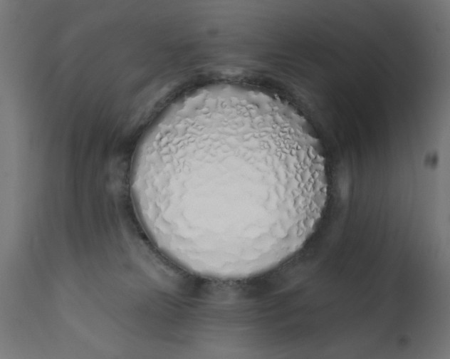 X0000113200181200910081300