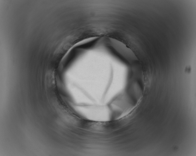 X0000113200182200910081300