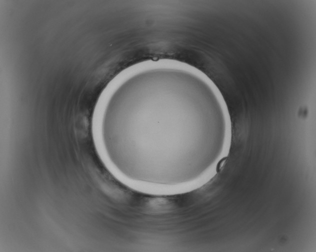 X0000113200183200910081300