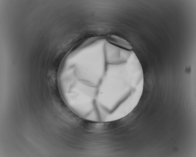 X0000113200184200910081300