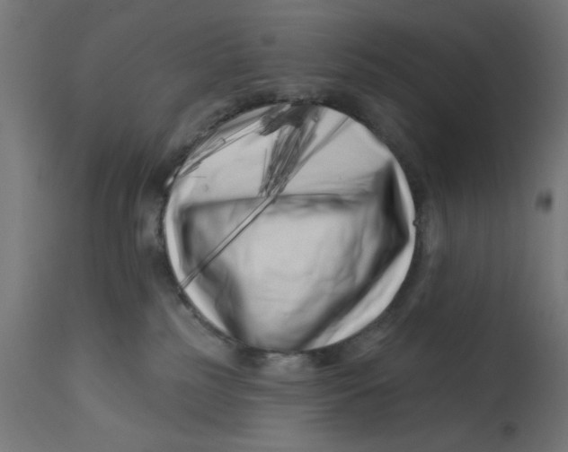 X0000113200185200910081300