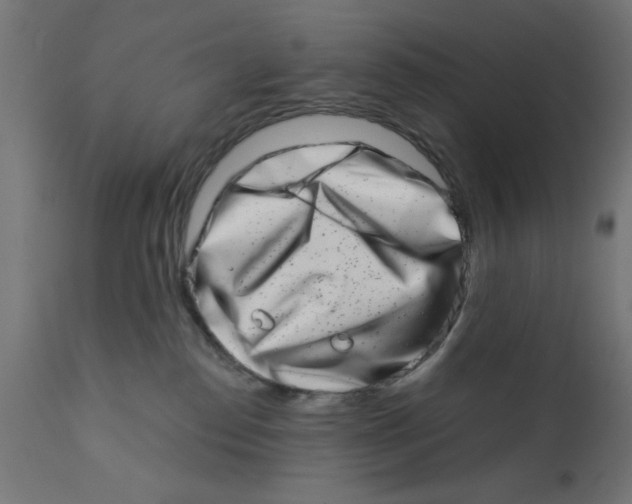 X0000113200186200910081301
