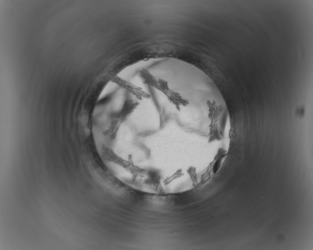 X0000113200187200910081301
