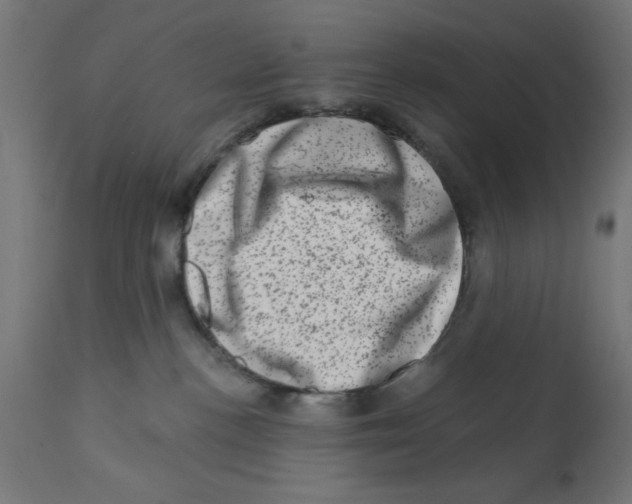 X0000113200188200910081301