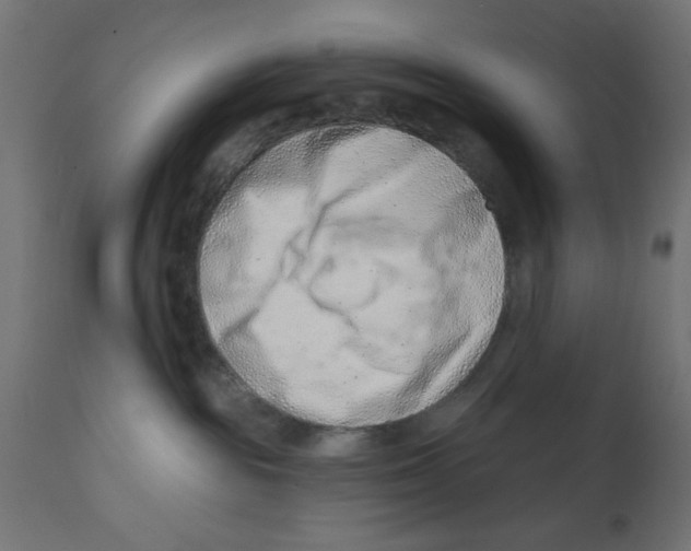 X0000113200189200910081301
