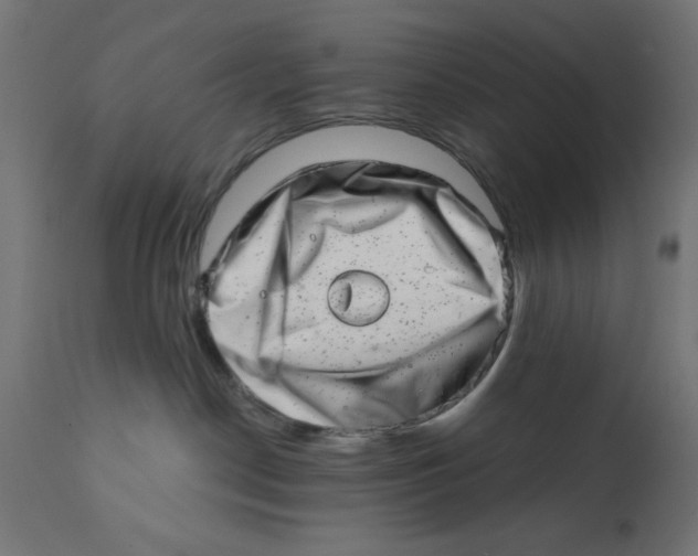 X0000113200190200910081301