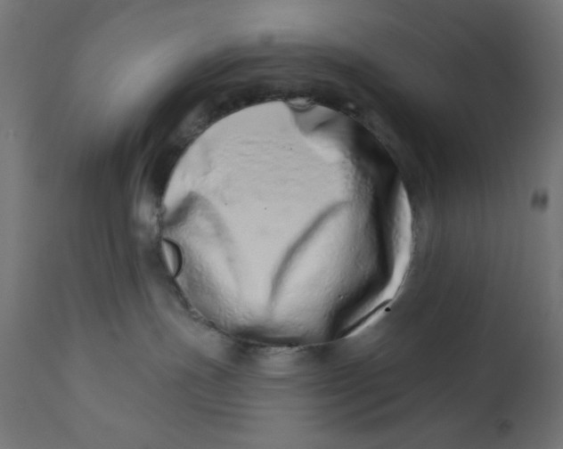 X0000113200191200910081301