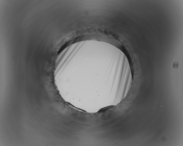 X0000113200192200910081301