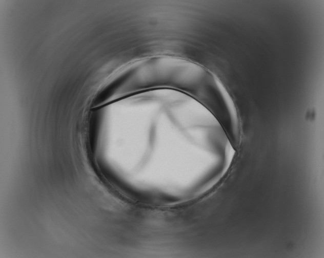X0000113200193200910081300
