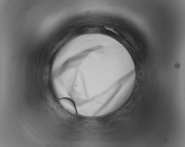 X0000113200194200910081300