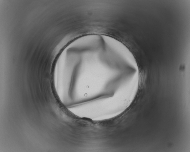 X0000113200195200910081300