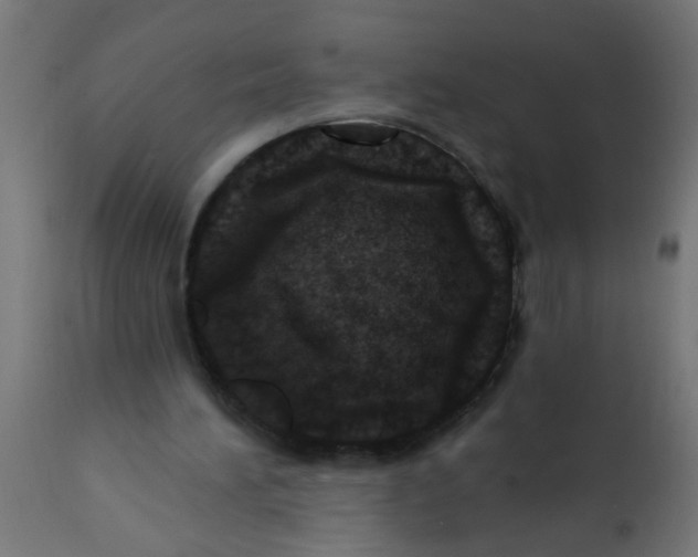 X0000113200196200910081300
