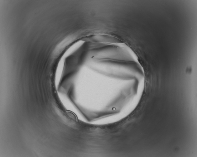 X0000113200197200910081300