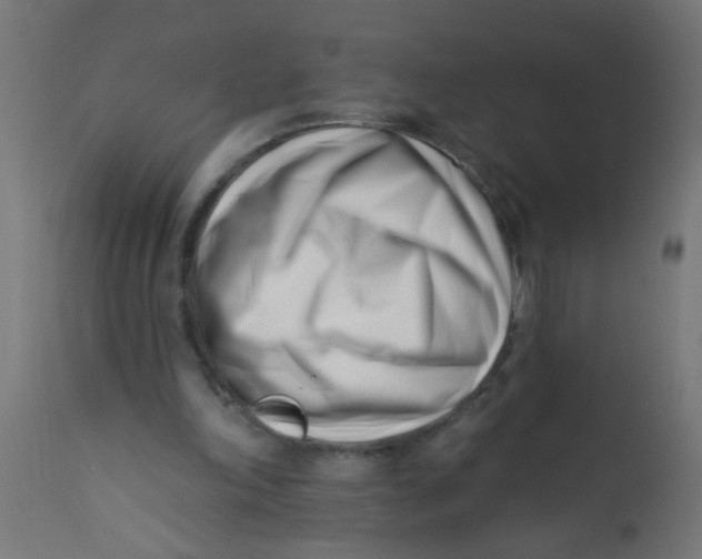 X0000113200198200910081300