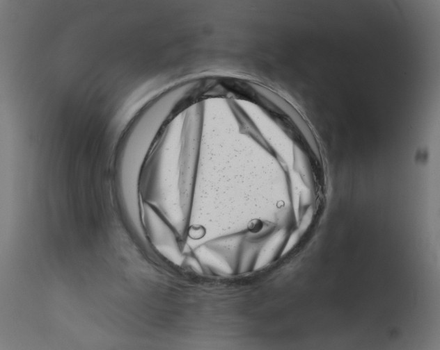 X0000113200199200910081300