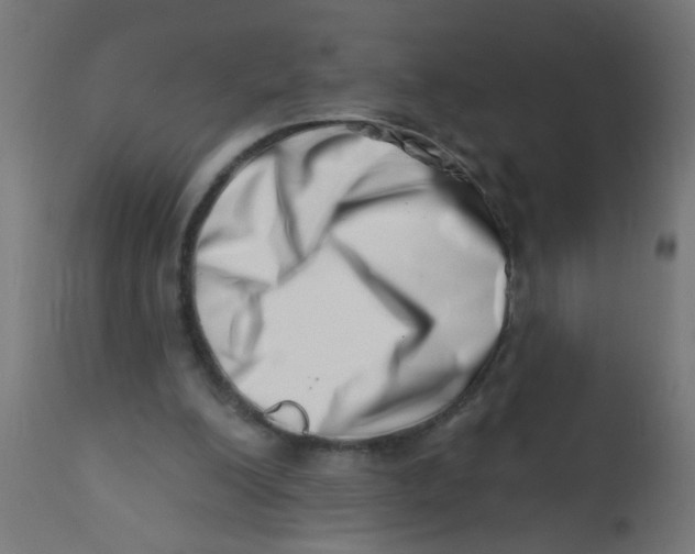 X0000113200200200910081300