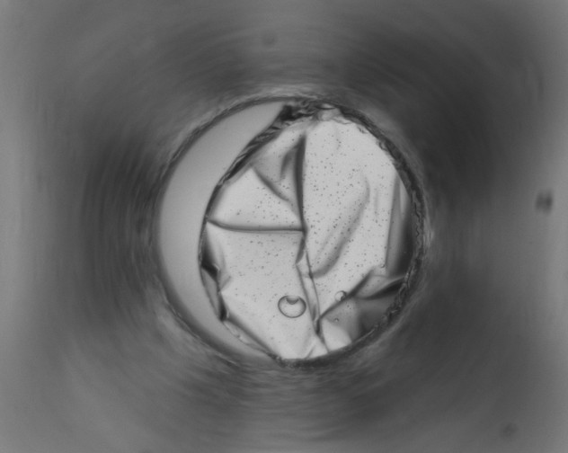 X0000113200201200910081300