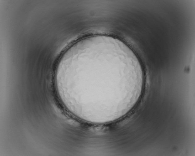 X0000113200202200910081300