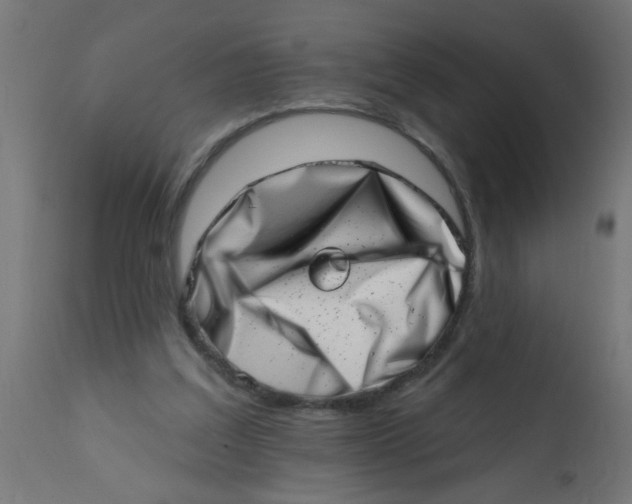 X0000113200203200910081300
