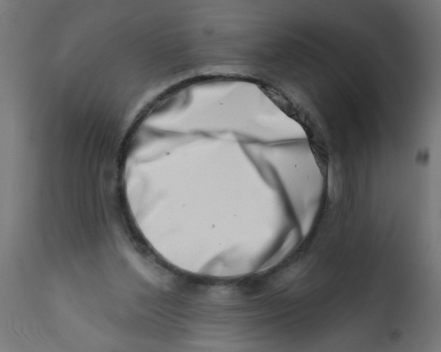 X0000113200204200910081300