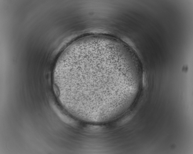 X0000113200205200910081300