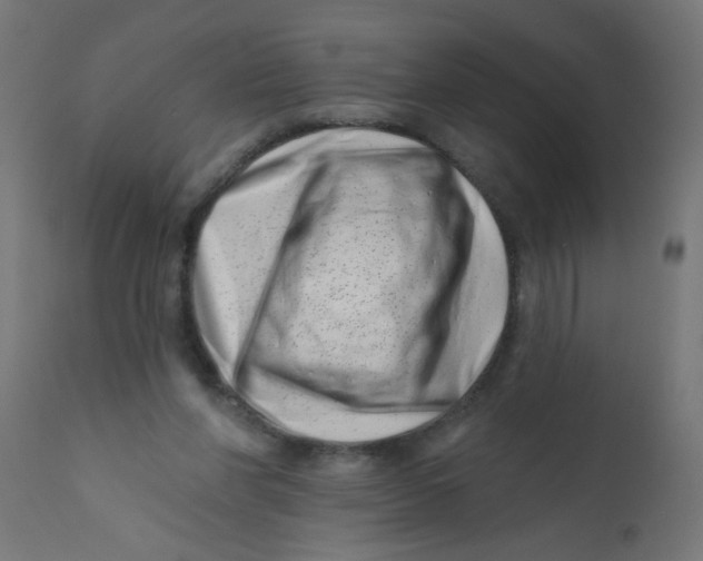 X0000113200206200910081300