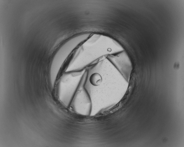 X0000113200207200910081300