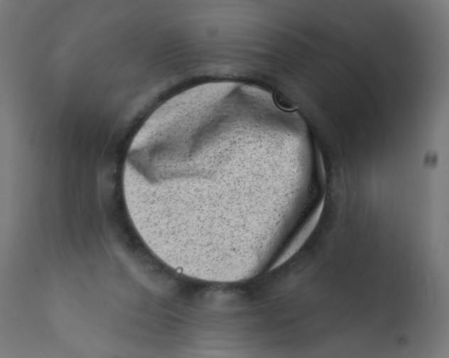 X0000113200208200910081300