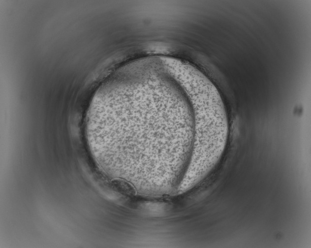 X0000113200209200910081300