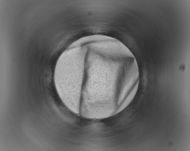 X0000113200210200910081300