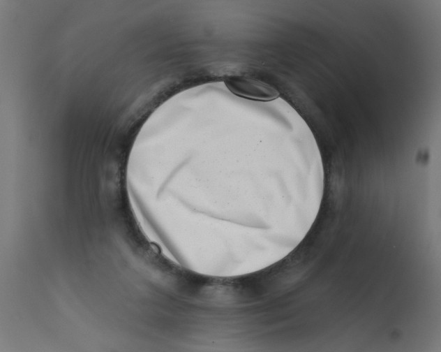 X0000113200211200910081300