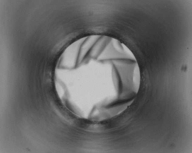 X0000113200212200910081300