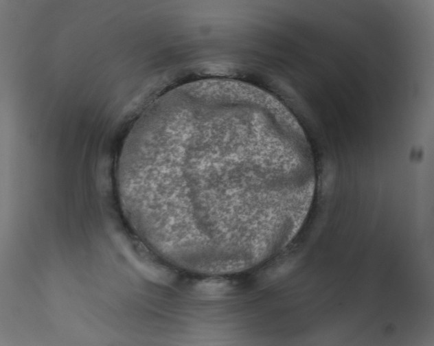 X0000113200213200910081300